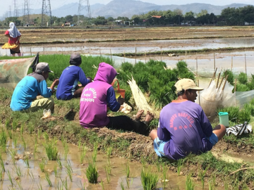 Para petani rehat sejenak sembari menikmati teh panas dan nasi untuk pengganjal perut