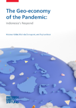 The geo-economy of the pandemic